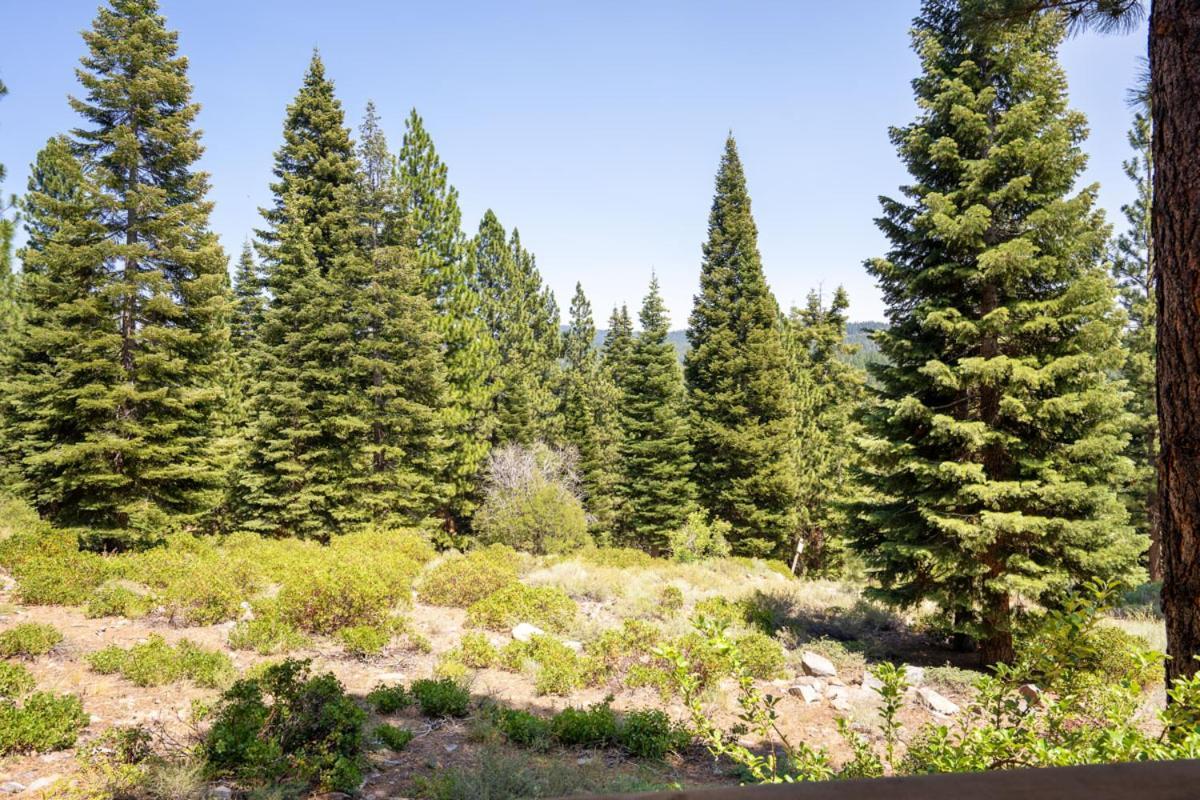 Villa Northstar - Gold Bend Getaway Truckee Exterior foto